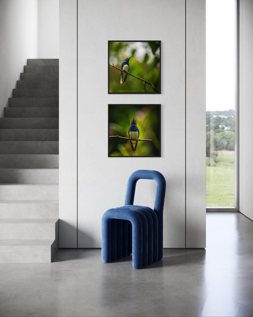 MOCKUP. COLIBRIES POR SUSIE CASTELLANO