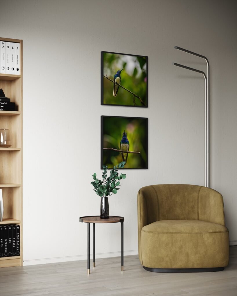 MOCKUP. COLIBRIES POR SUSIE CASTELLANO