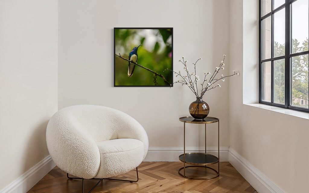 MOCKUP. COLIBRIES POR SUSIE CASTELLANO