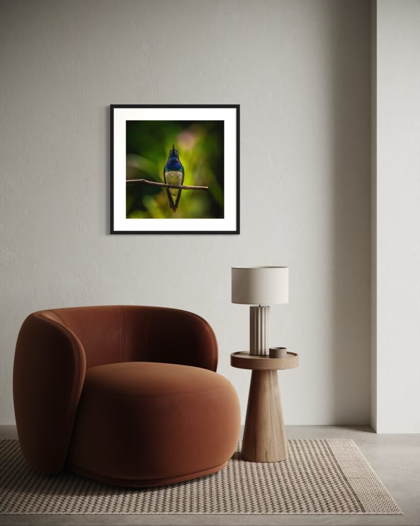 MOCKUP. COLIBRIES POR SUSIE CASTELLANO