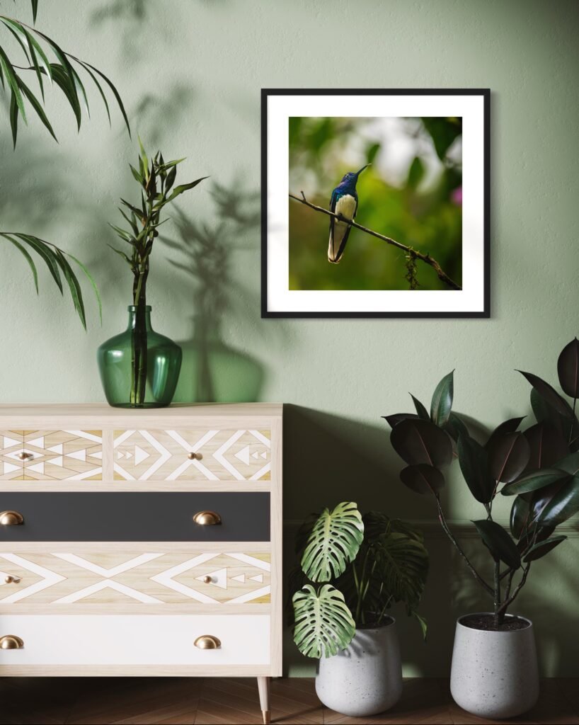 MOCKUP. COLIBRIES POR SUSIE CASTELLANO