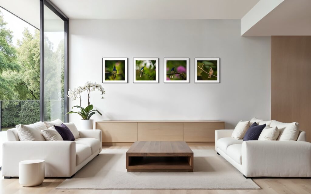 MOCKUP. COLIBRIES POR SUSIE CASTELLANO